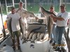 (09/10/2015) - Nice Striped Bass